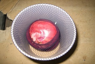 レンゴー青果