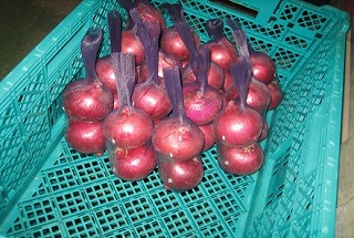レンゴー青果