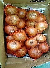 レンゴー青果